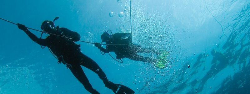 divers descending
